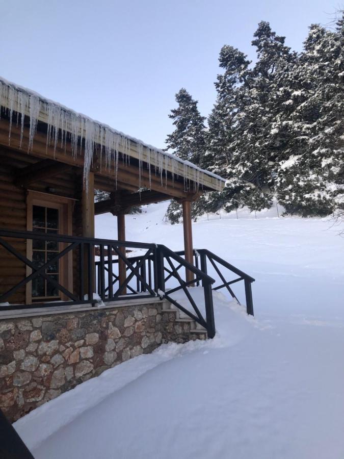Shelter Villa Калаврита Екстериор снимка